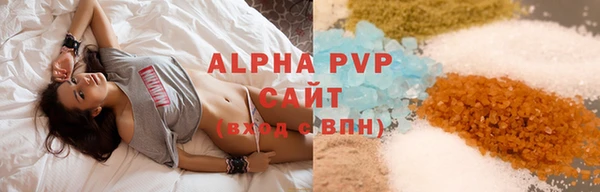 индика Тихвин