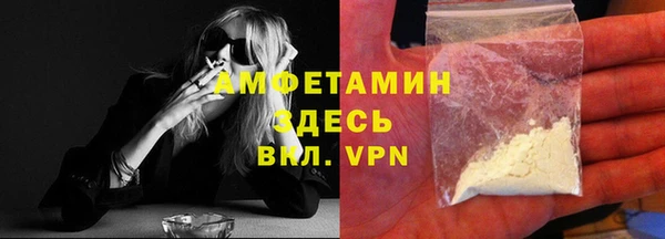 индика Алзамай