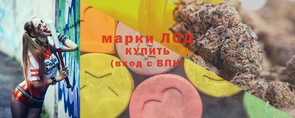 индика Алзамай